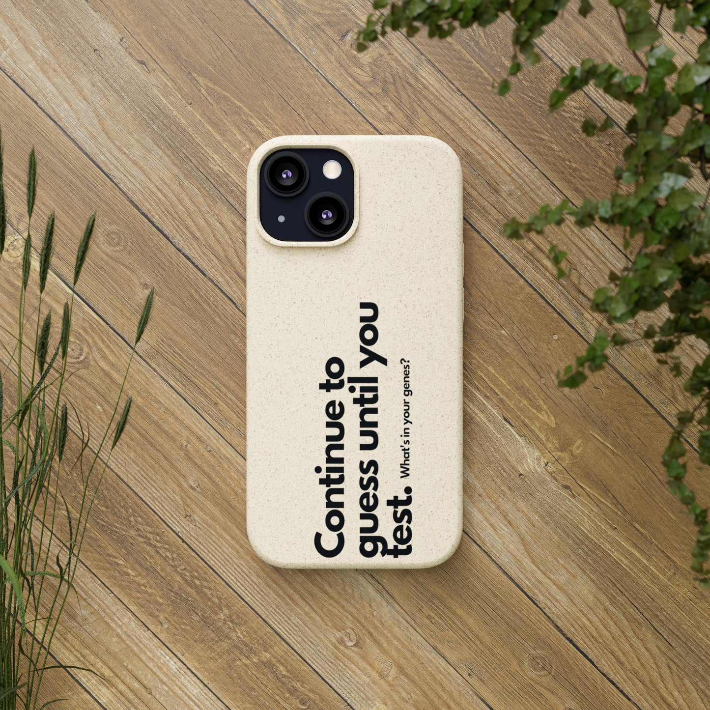 Biodegradable Cases