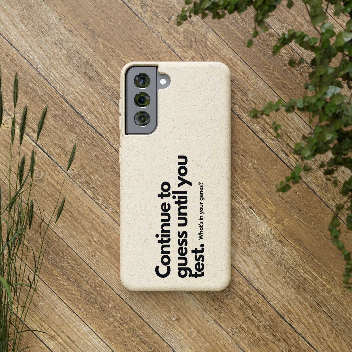 Biodegradable Cases