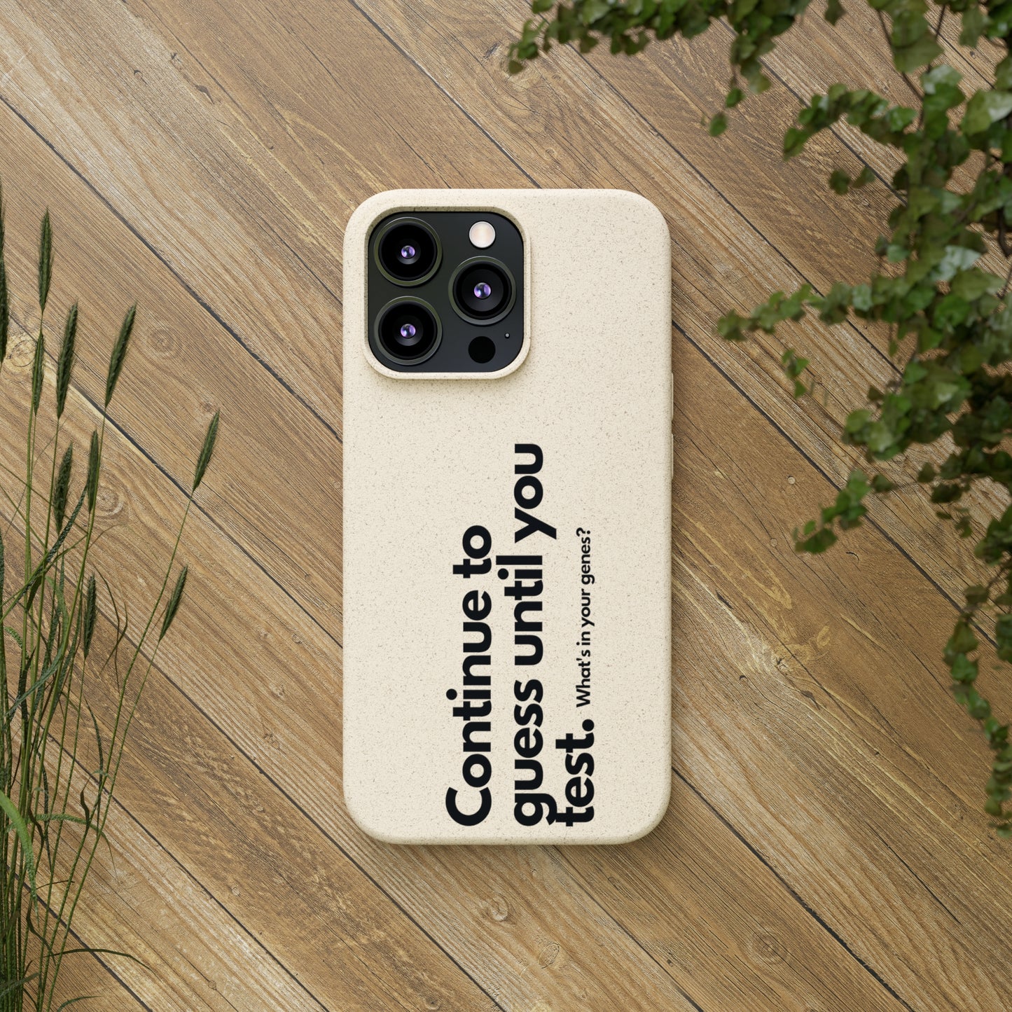 Biodegradable Cases