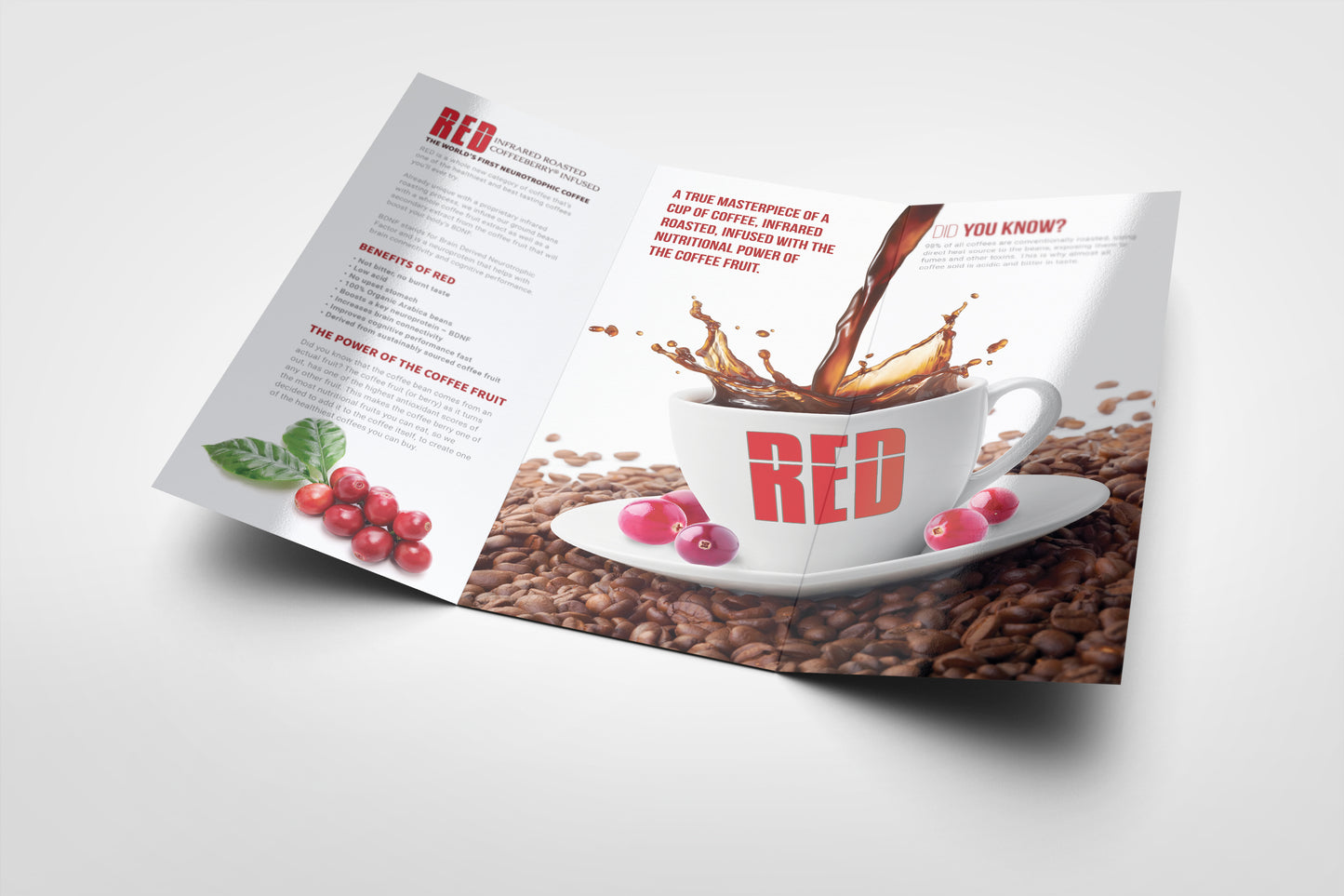 Red Coffee Trifold Brochures (100 Pack)
