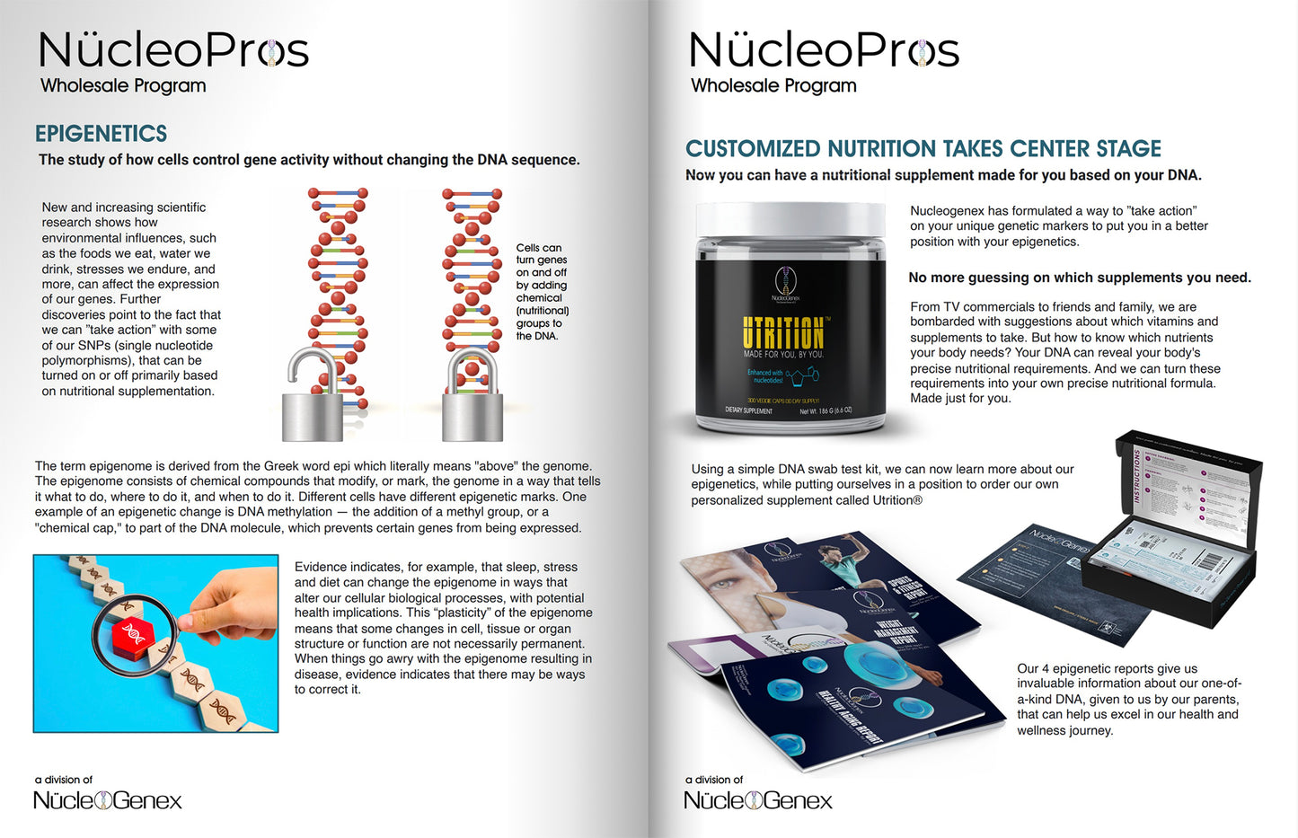 Nucleo Pros Program Brochure (250 Pack)