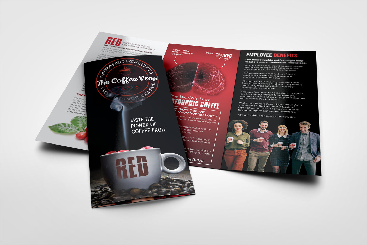 The Coffee Pros Trifold Brochures (100 Pack)